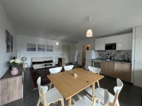 Three-bedroom apartment in Blagnac